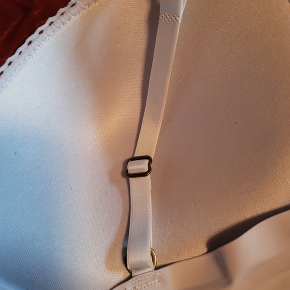 Lucky Brand Padded Bra Light Blue Sz 38C - Picture 5 of 6